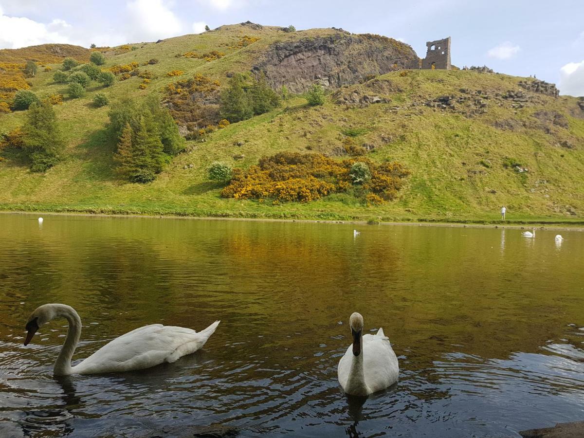 Beautiful Holyrood Park Apartment Edinburg Exteriör bild